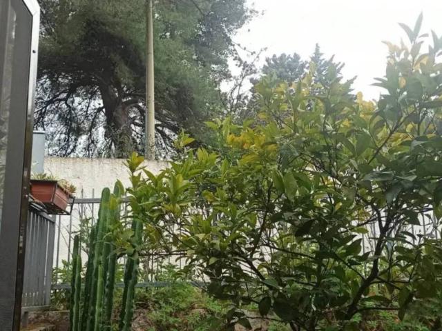 Villa in vendita a Peschici FG