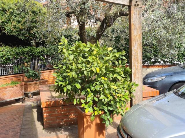 Villa in vendita a Pescia