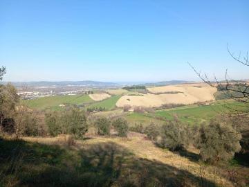 Villa in vendita a Pesaro PU
