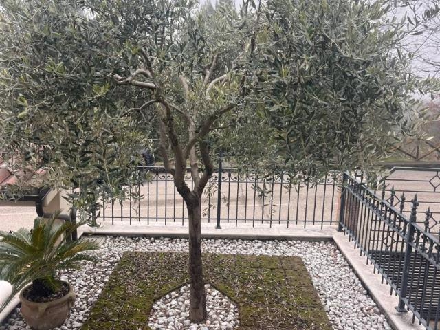 Villa in vendita a Pesaro PU
