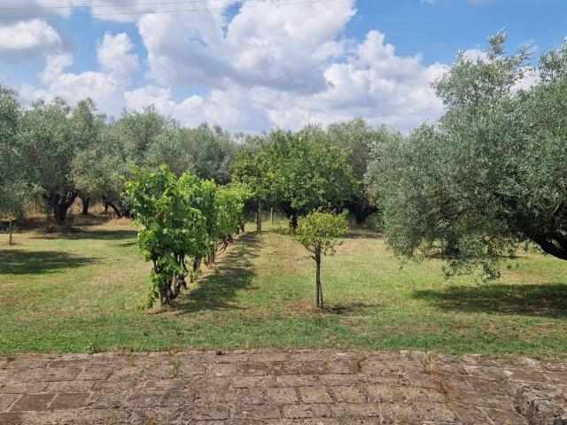 Villa in vendita a Pitigliano GR