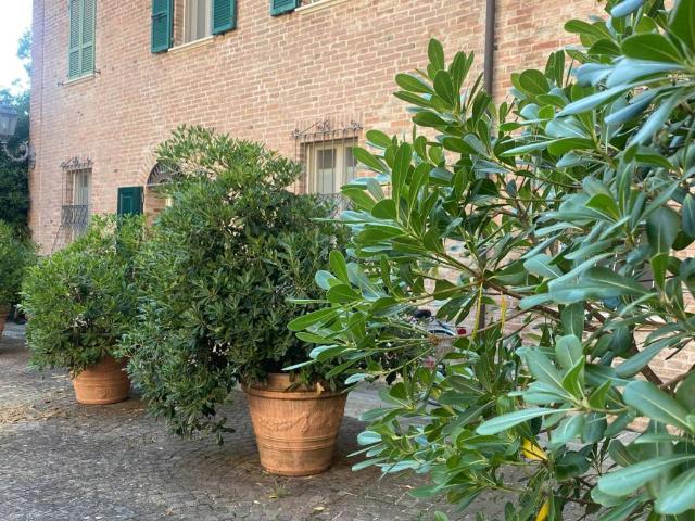 Villa in vendita a Piacenza PC