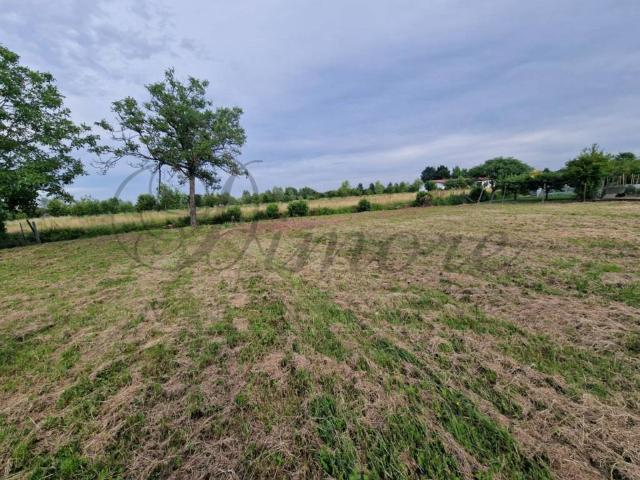 Villa in vendita a Pianiga VE