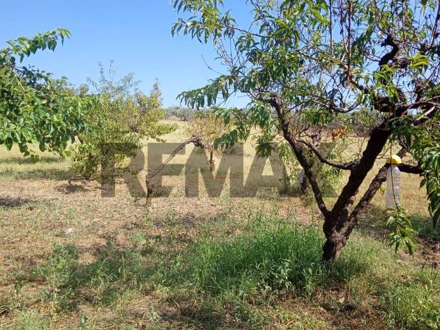 Villa in vendita a Piazza Armerina EN