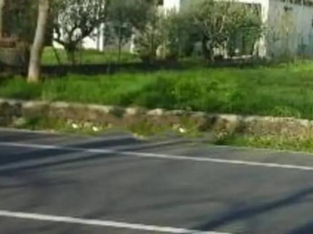 Villa in vendita a Piedimonte San Germano FR