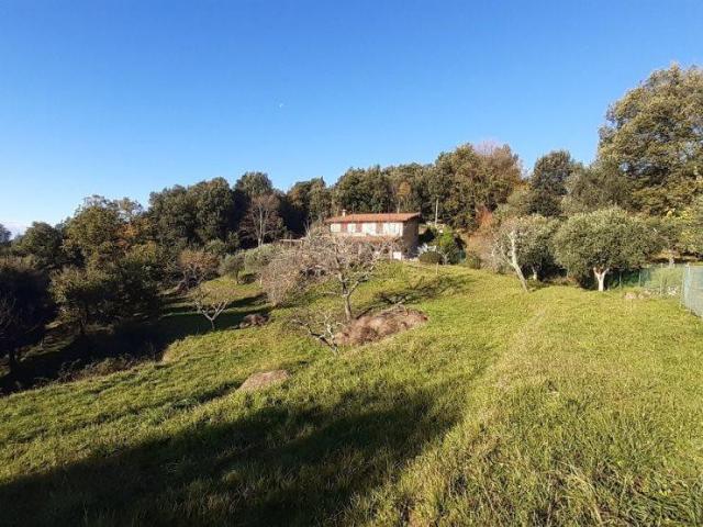 Villa in vendita a Pietrasanta