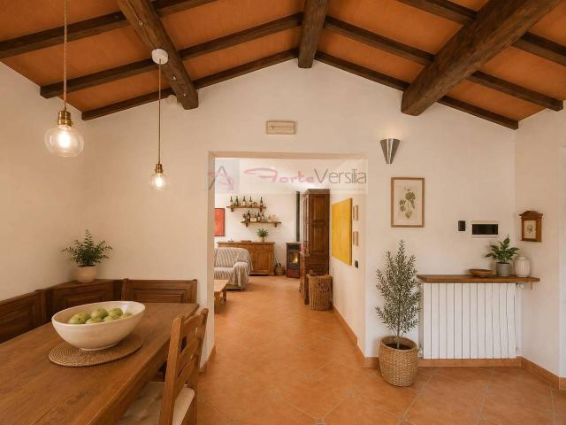 Villa in vendita a Pietrasanta