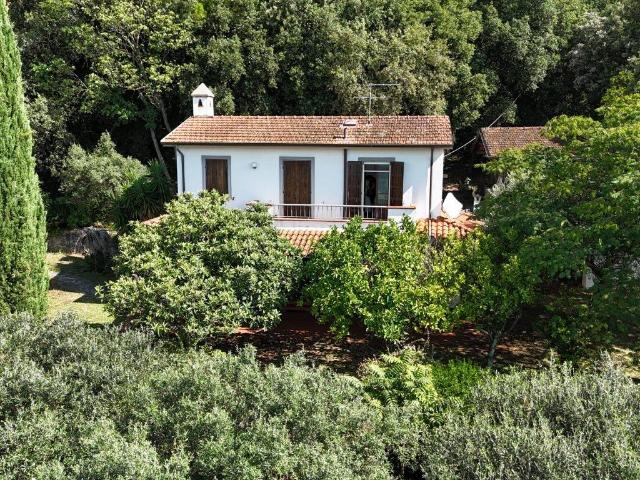 Villa in vendita a Pietrasanta LU