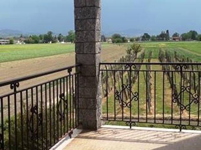 Villa in vendita a Pinarolo Po PV