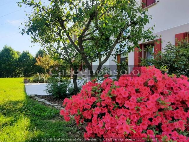 Villa in vendita a Piombino Dese PD