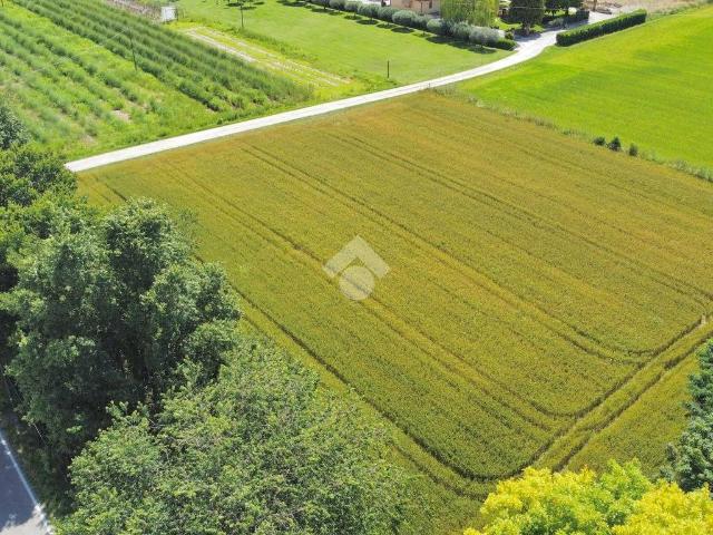 Villa in vendita a Piombino Dese PD