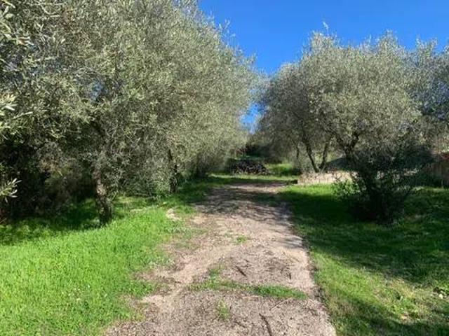 Villa in vendita a Ploaghe SS