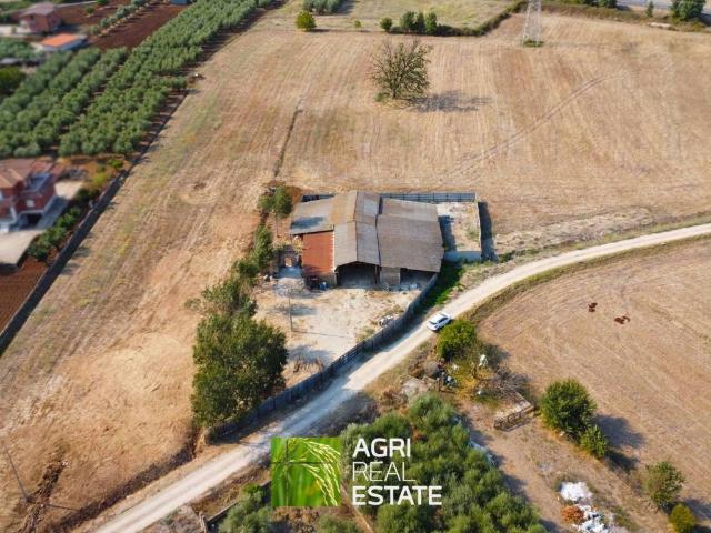 Villa in vendita a Priverno LT