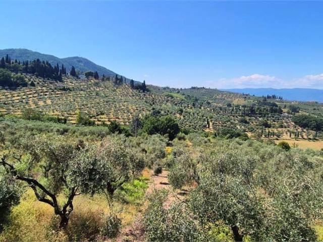 Villa in vendita a Quarrata PT