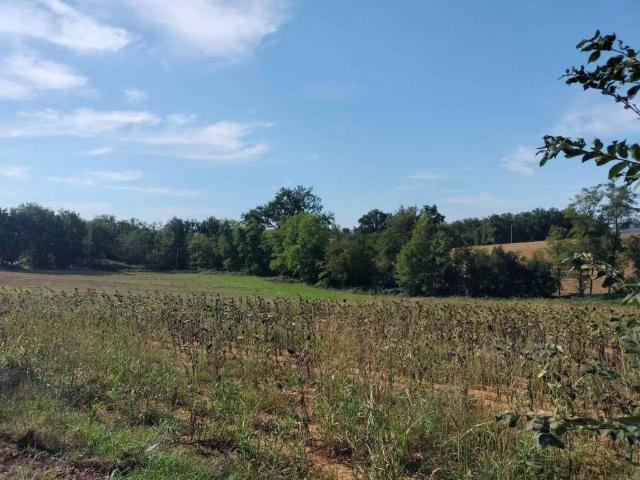 Villa in vendita a Quattordio AL
