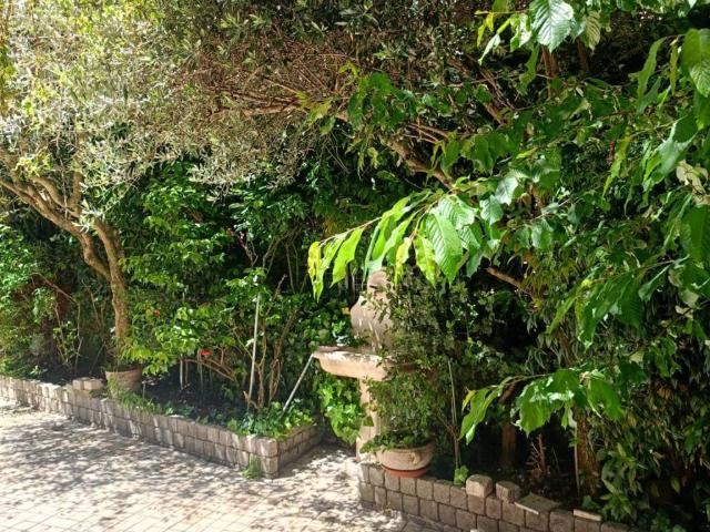 Villa in vendita a Rocca di Papa RM