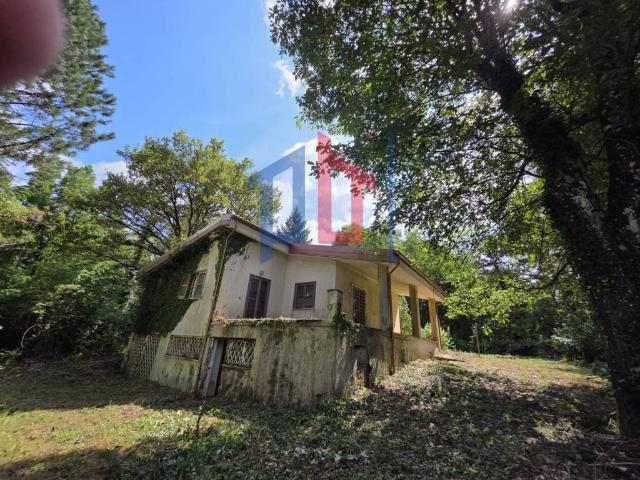 Villa in vendita a Rocca di Papa RM