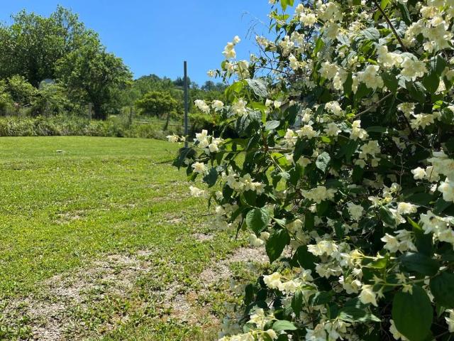 Villa in vendita a Rocchetta Ligure AL