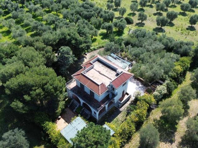 Villa in vendita a Rodi Garganico FG