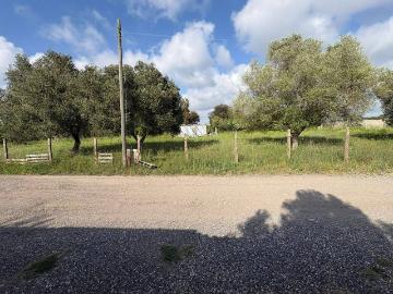 Castel Fusano, Roma Lazio, Lazio