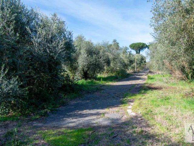 Villa in vendita a Roma RM