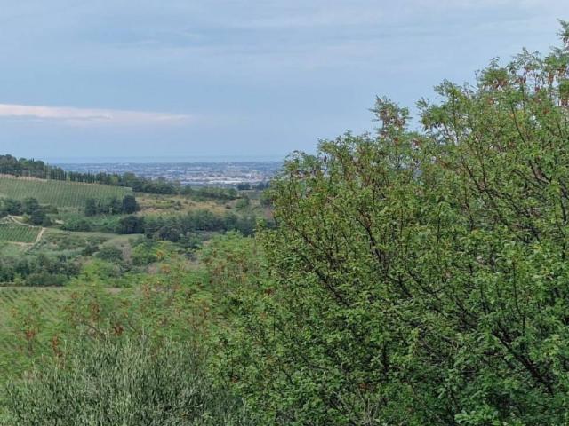 Villa in vendita a Roncofreddo FC