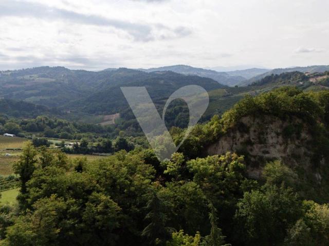 Villa in vendita a Roncofreddo FC