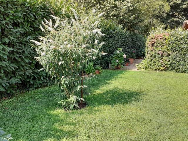 Villa in vendita a Ronciglione VT