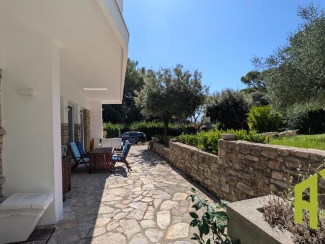 VILLA in VENDITA a ROSIGNANO MARITTIMO Castiglioncello di 11 vani