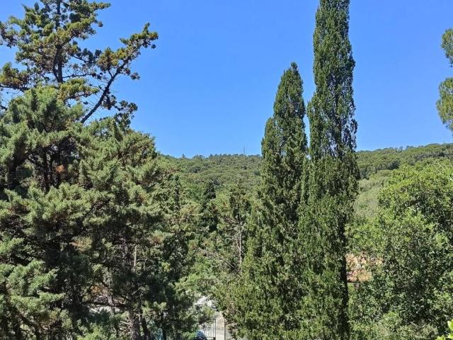 Villa in vendita a Rosignano Marittimo LI