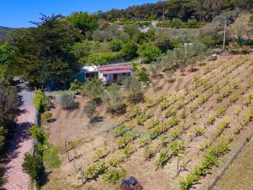 Villa in vendita a Rosignano Marittimo LI