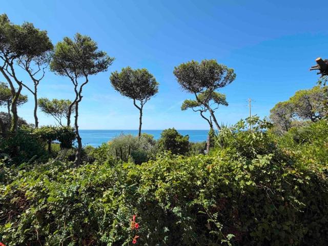 Villa in vendita a Rosignano Marittimo LI
