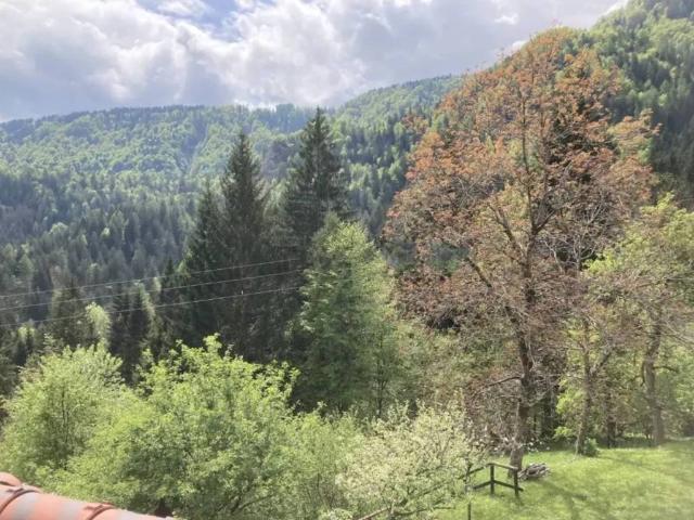 Villa in vendita a Ravascletto UD