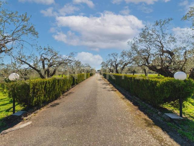 Villa in vendita a Randazzo CT