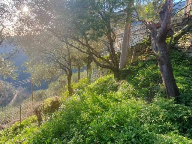 Villa in vendita a Rapallo GE