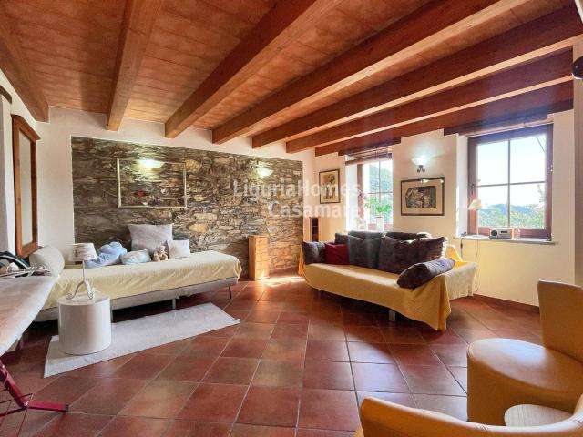 Villa in vendita a Rezzo
