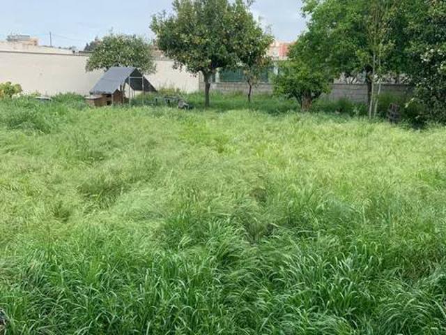 Villa in vendita a Reggio Calabria RC