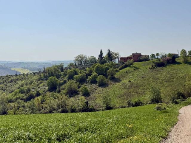 Villa in vendita a Ripe San Ginesio MC