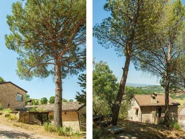 Villa in vendita a Todi PG