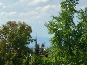 Villa in vendita a Torino TO