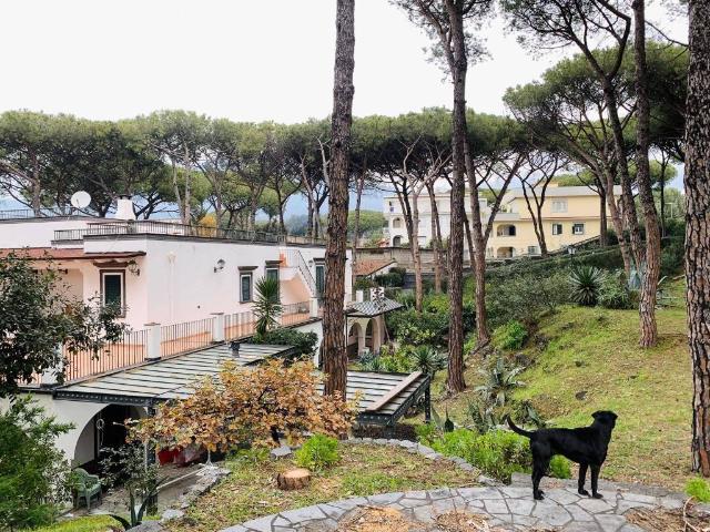 Villa in vendita a Torre del Greco NA