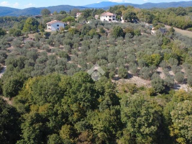 Villa in vendita a Torricella in Sabina RI