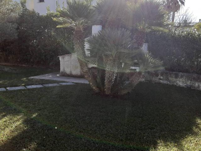 Villa in vendita a Tarquinia VT