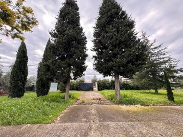 Villa in vendita a Terlizzi BA