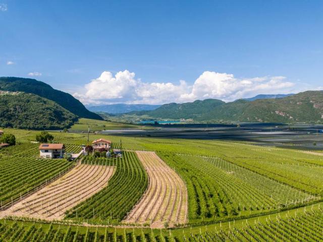Villa in vendita a Termeno sulla Strada del Vino BZ