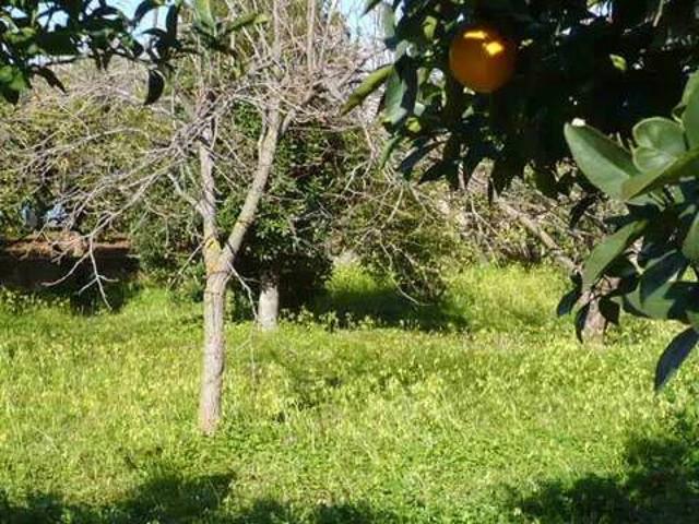 Villa in vendita a Termini Imerese PA