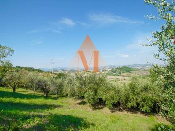 Villa in vendita a Terre Roveresche PU