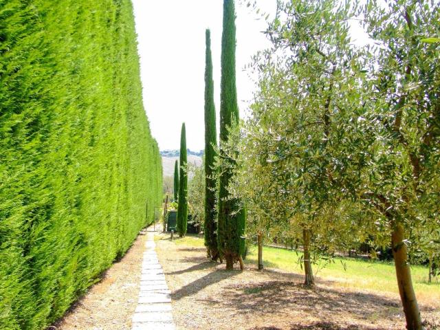 Villa in vendita a Terre Roveresche PU
