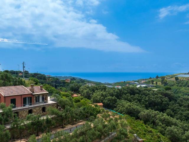 Villa in vendita a Terzorio IM