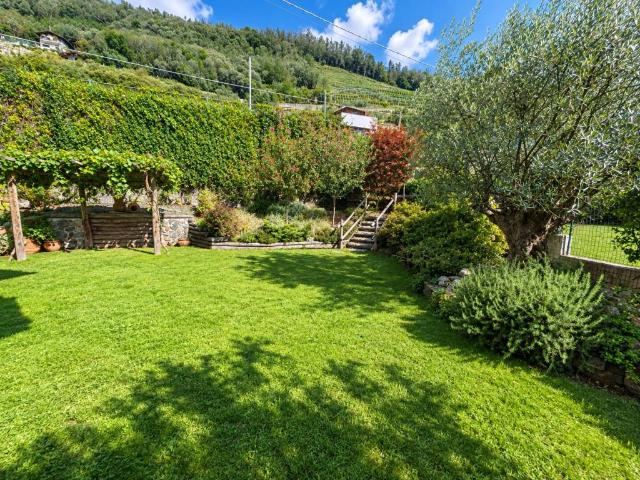 Villa in vendita a Traona SO
